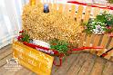 Foto Laudi_FFW_Wallerfing-400